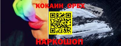 гашик Аргун