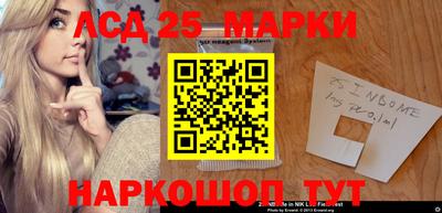 гашик Аргун