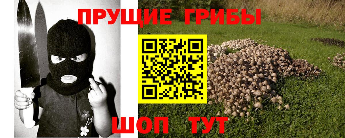 Псилоцибиновые грибы Psilocybe  Артёмовский 