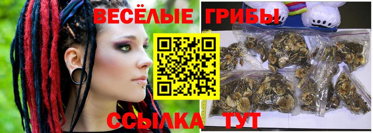 Псилоцибиновые грибы Cubensis  Вход с VPN  Артёмовский  Псилоцибиновые грибы Psilocybe 
