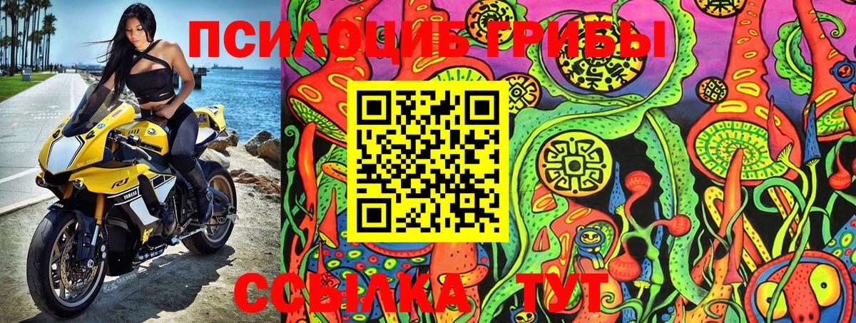 Псилоцибиновые грибы ЛСД Артёмовский