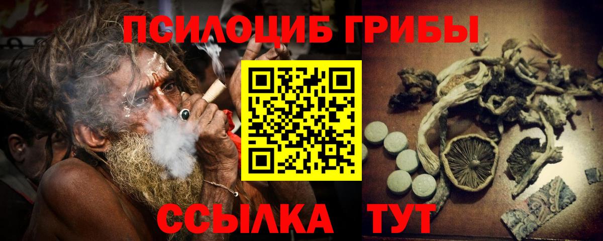 Псилоцибиновые грибы Psilocybe Артёмовский